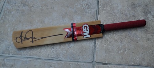 Brian lara signed mini - gm,