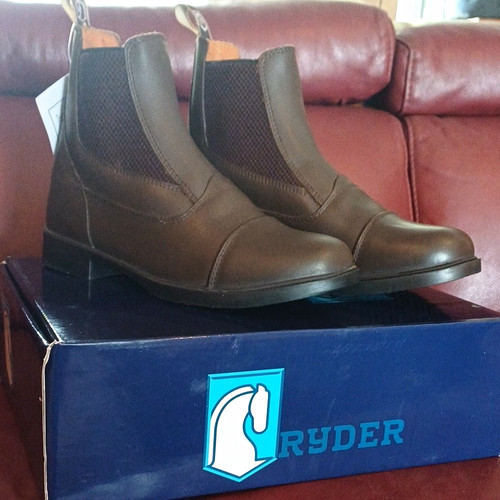 Ryder crazy horse - horse, brown