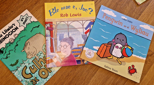 Welsh languages books cymraeg - welsh,