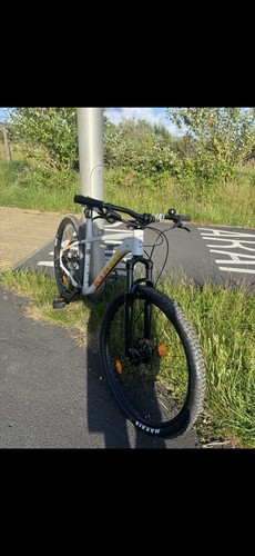 Kona lava dome - lava, hardtail