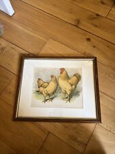 Buff Wyandotte Hen & Rooster Print 43 X 36cm Including Frame