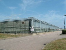 Photo 6x4 Greenhouse effect