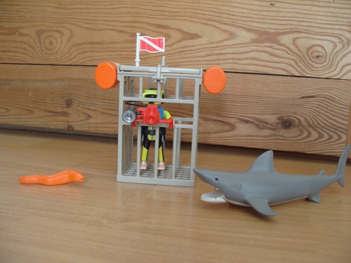 Playmobil 100 complete - complete, set