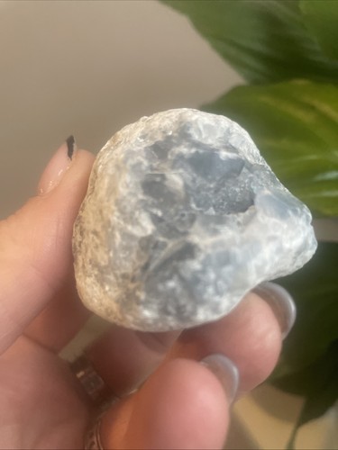 Celestite small cluster geode - celestite,