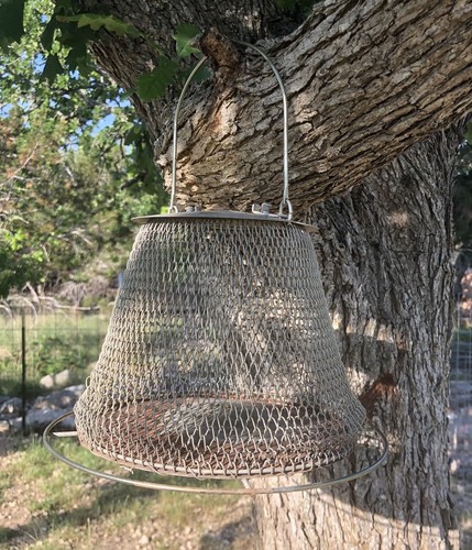Vintage collapsible wire - collapsible,