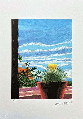 David hockney cactus with - david,