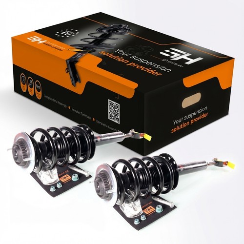 Complete struts assembly - 2x,