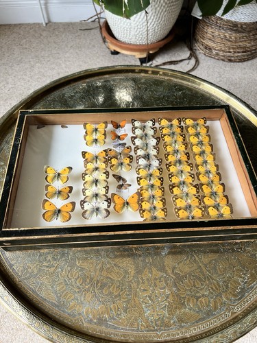 Authentic vintage framed - vintage,