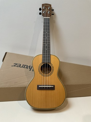 Alvarez artist au70wc concert - alvarez,
