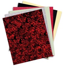 Scratchplate / Pickguard