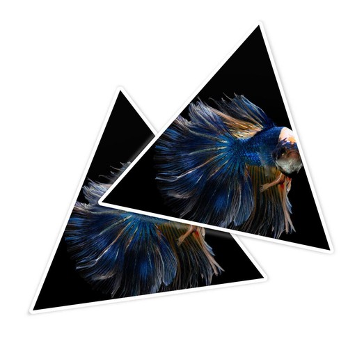 Triangle shape vinyl - 2x,
