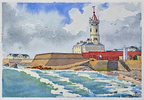 Original watercolour - an,