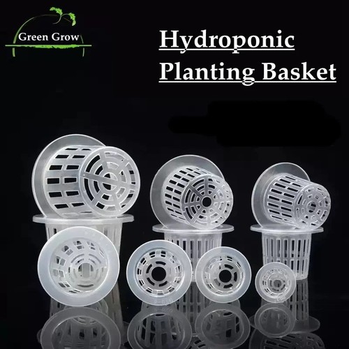 10pcs white hydroponic - 10pcs,