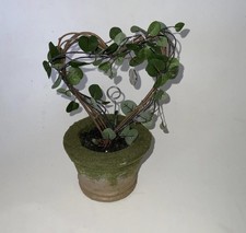 Artificial Heart Topiary In