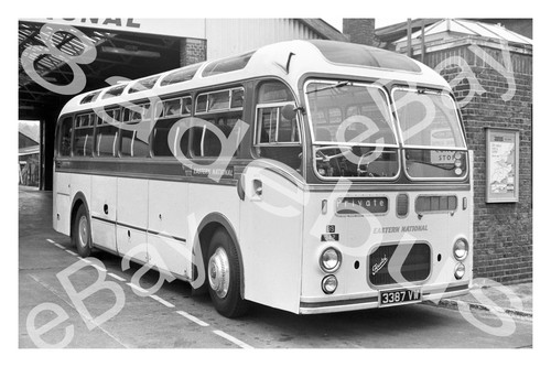 Bus photograph eastern - bus,