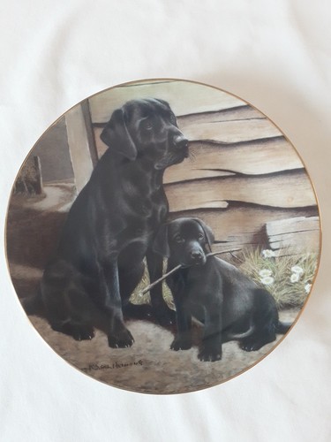 Franklin mint labrador - mint,