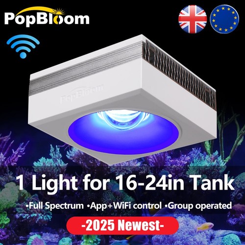 Popbloom rl90 wifi marine - marine, reef