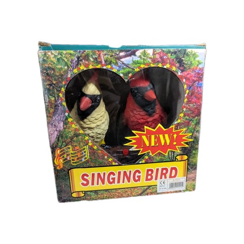 Singing cardinal birds - cardinal, motion