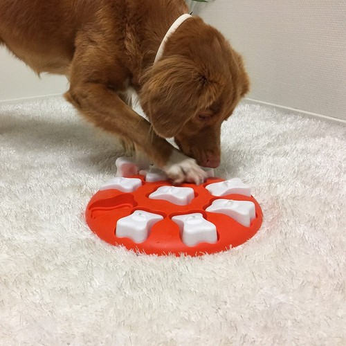 Nina ottosson dog smart org - nina,