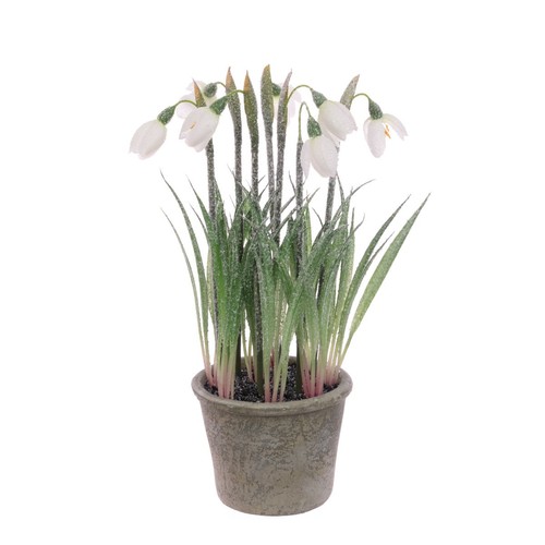 Frosted snowdrops pot - frosted,