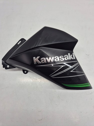 Kawasaki 800 - kawasaki, z