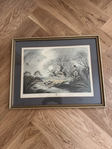 Samuel howitt duck - samuel, “duck