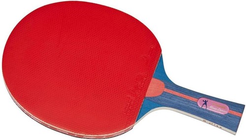 Nittaku table tennis racket - table,