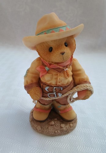 Roy the cowboy - cowboy, rope