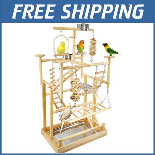 Parrot play gym with - play,