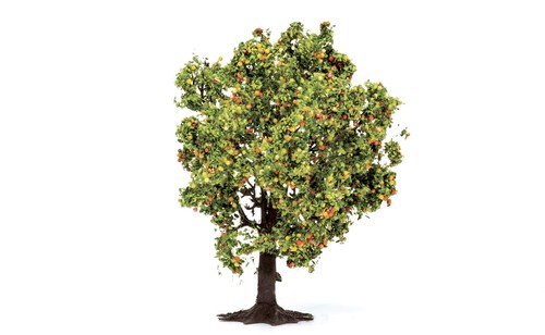 Hornby apple tree - tree, fruit)