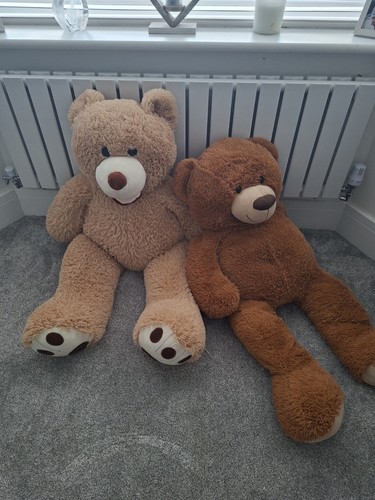 Giant teddy - giant,