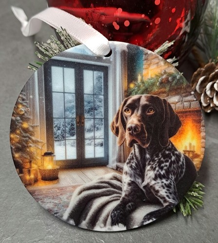 German shorthaired pointer - shorthaired, dog