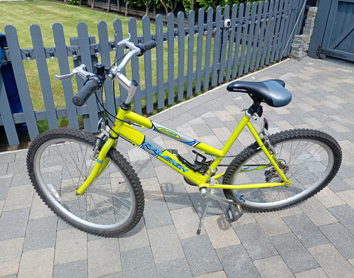 Raleigh 26in mountain bike - mountain,