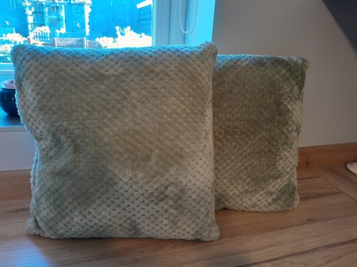 Sage green fleece cushions - sage,