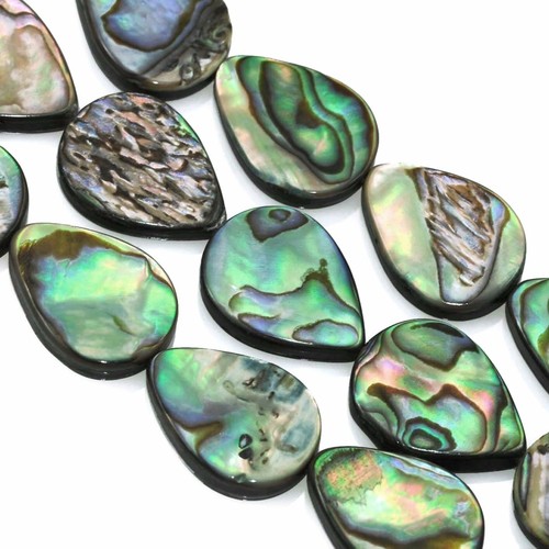 Green abalone shell mother - green, of