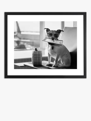 John lewis terrier travel - john, 'terrier