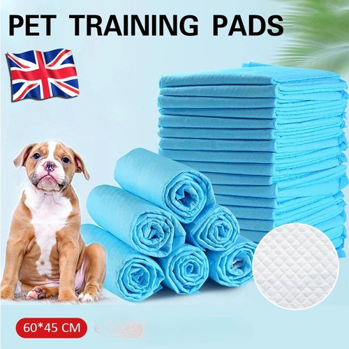 100 200x large puppy - large, pet