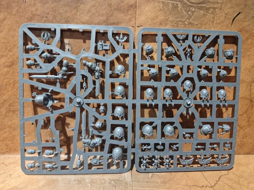 40k space marines - 40k, primaris