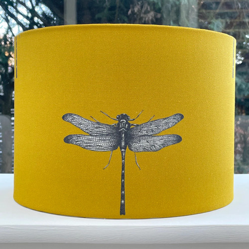 Mustard yellow dragonfly - mustard,