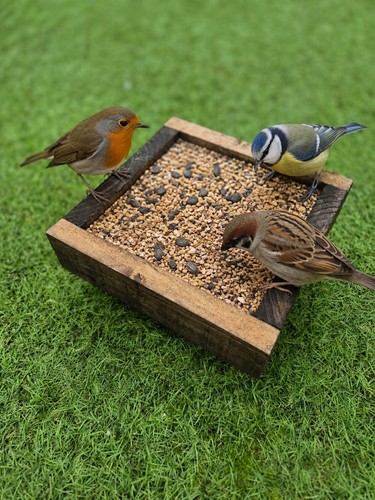 Wooden bird feeder tray wild - wooden,