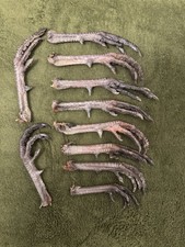 Pheasant feet - pheasant,