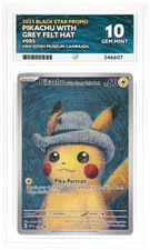 Pikachu with Grey Felt Hat Van