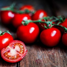 Tomato tumbling tom 3 Plug