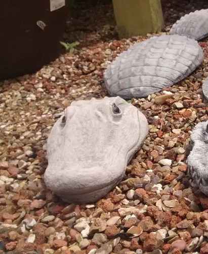 Submerged crocodile - submerged,