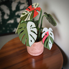 Monstera Coaster Set with