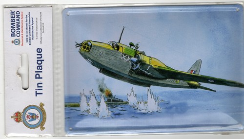 Tin plaque official licensed - tin,