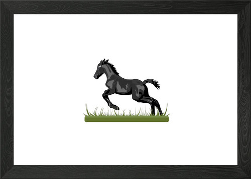 Black beauty horse framed - black,