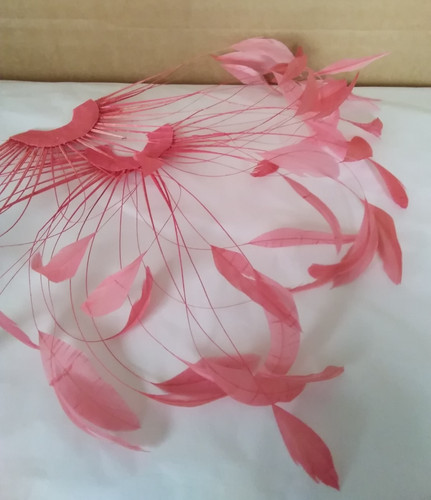 Coral stripped coque - , 64