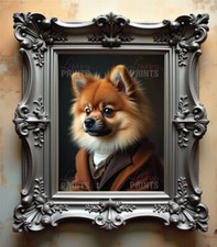 Pomeranian Dog Canvas Print