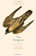 The Peregrine: 50th